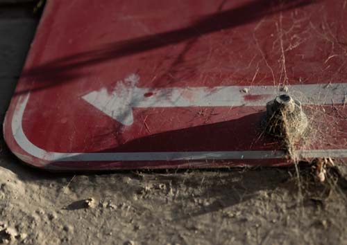 A closeup shot of an old sign on an old wall with a spiders web crawling from the edges.