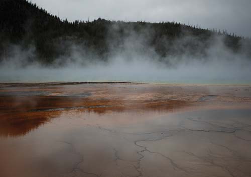 Clear, steaming water from a hotspring and dark forests behind.